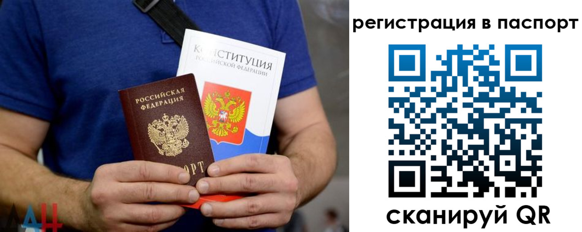 прописка гарантия в Елизово